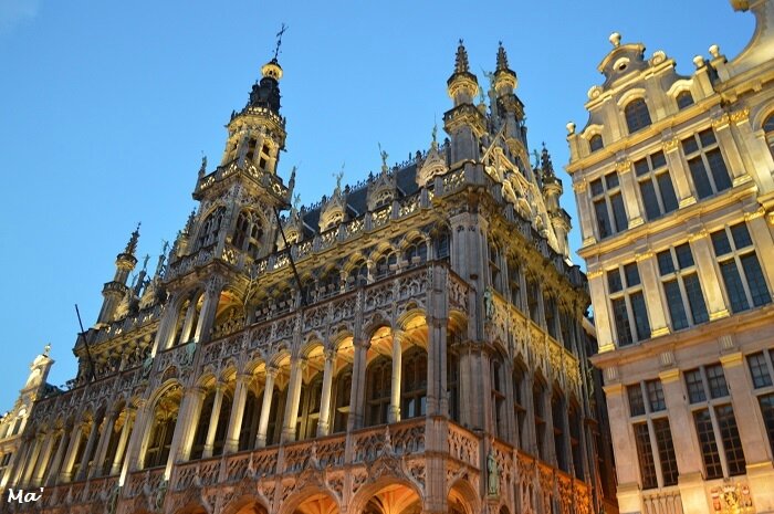 180113_BXL_Grand_Place_5