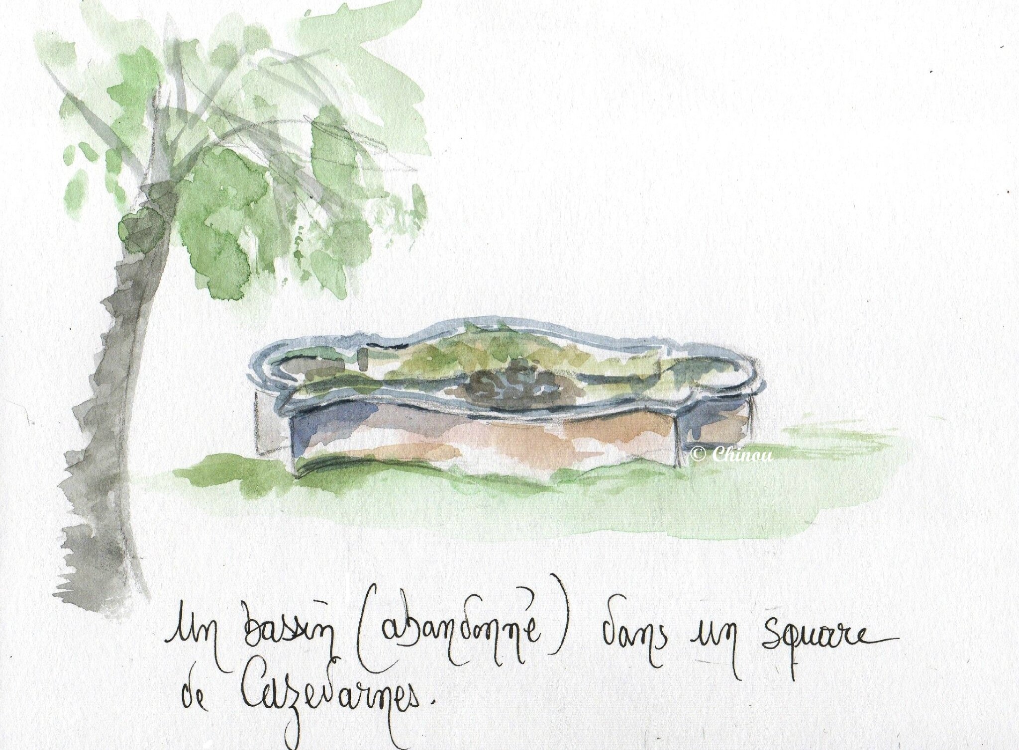  Cazedarnes