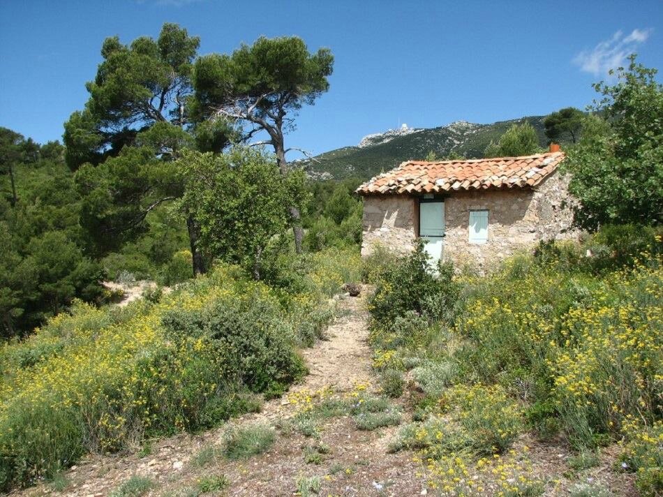 Cabanon-Cuges 13
