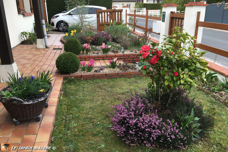 Jardin-devant