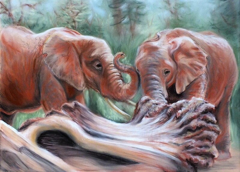 ame de soleil - le jeu des éléphants - 40 x 55