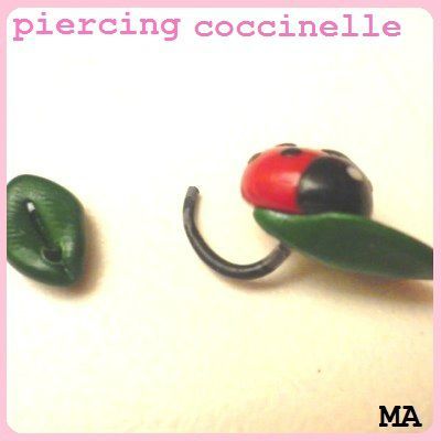 percing coccinelle
