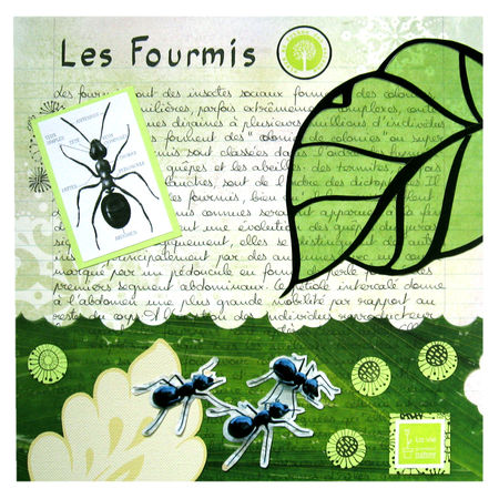Les_fourmis