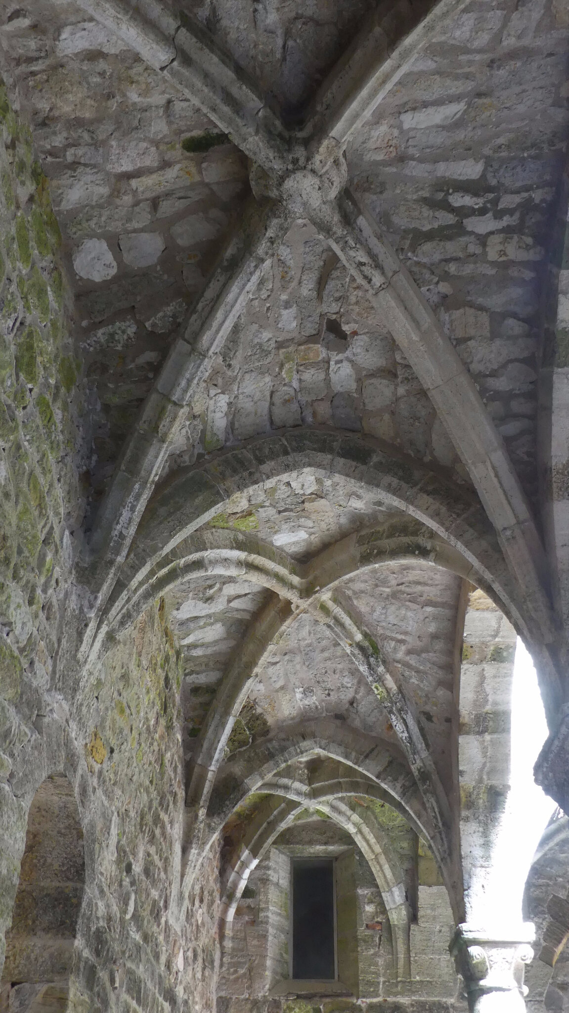 P1010270 (2)
