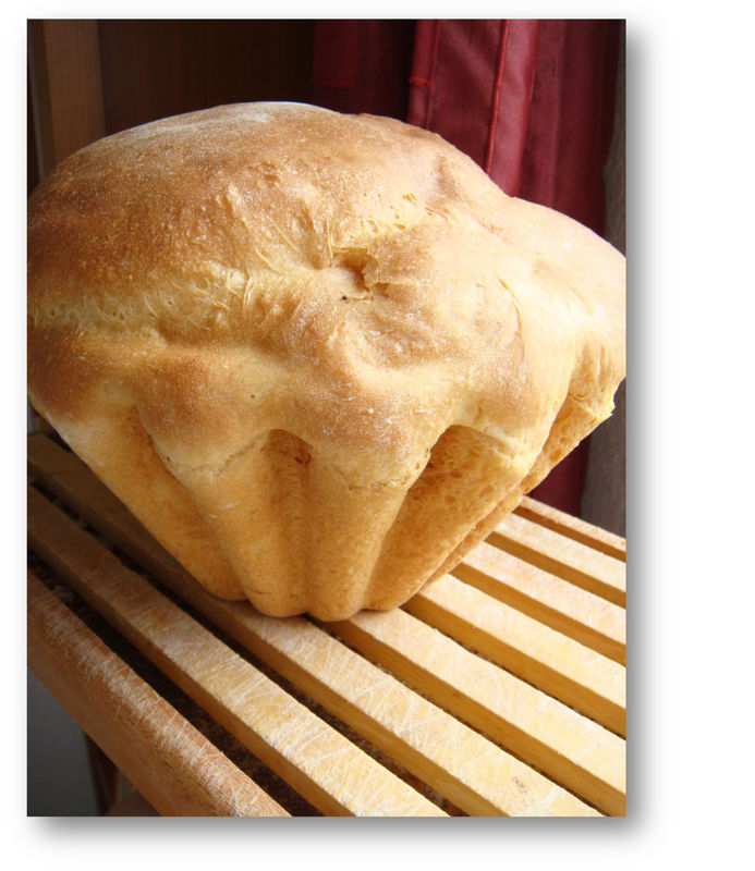 pain_brioche2