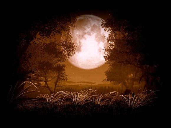 lune_arbre2