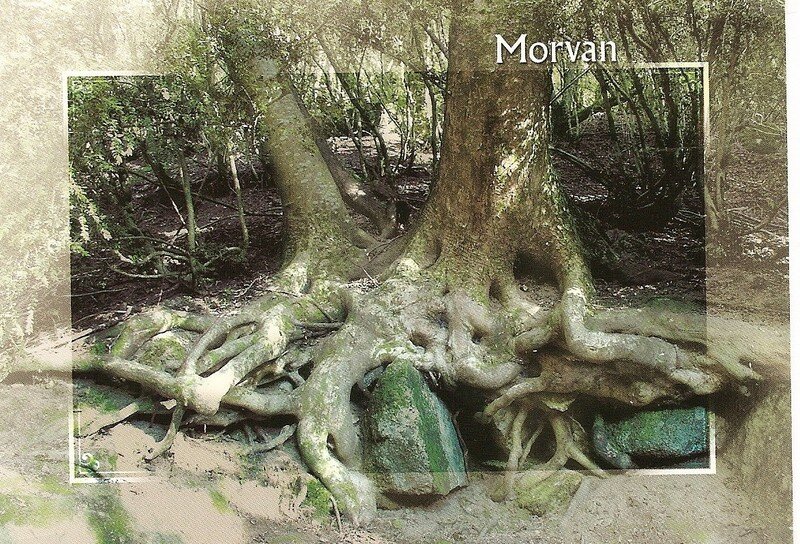 Superbe Morvan (58)