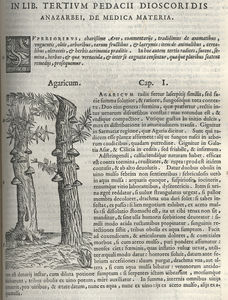 mattioli_plate