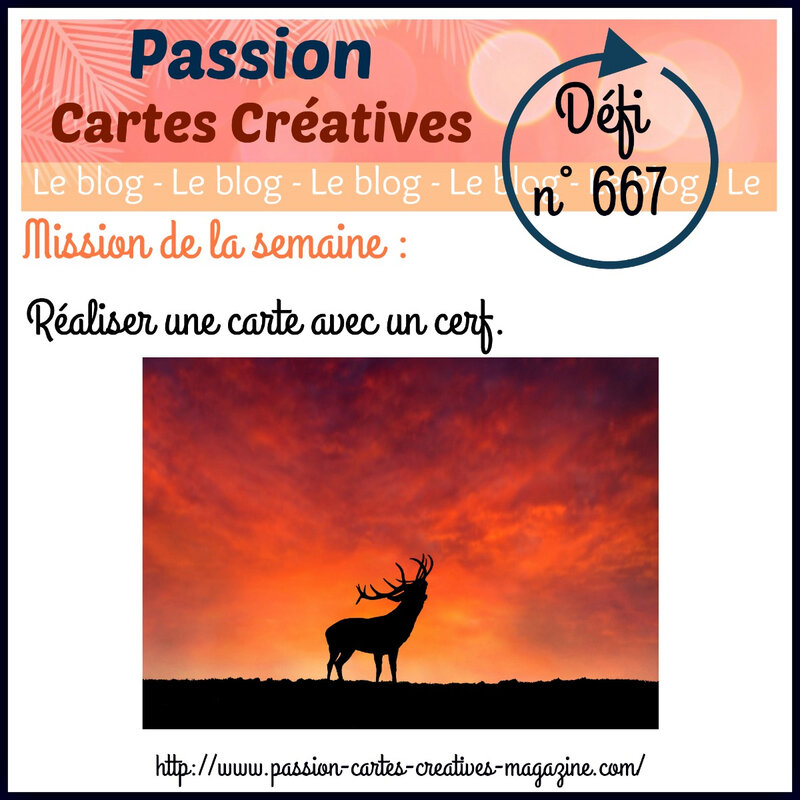 667-3 dec- CERF