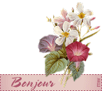 Gâteau cocotte aux pommes entières recettes Oeufs cocotte TM 31