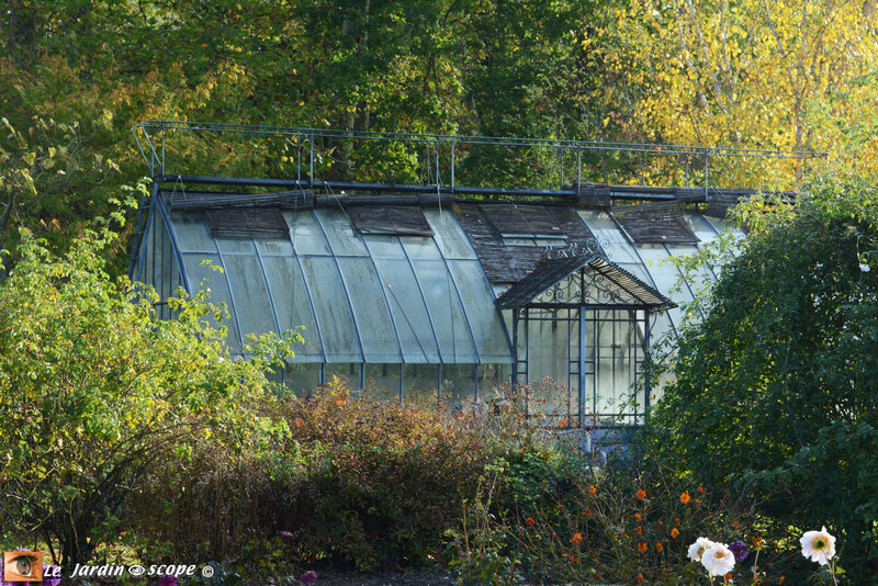PAT_8972-Berville