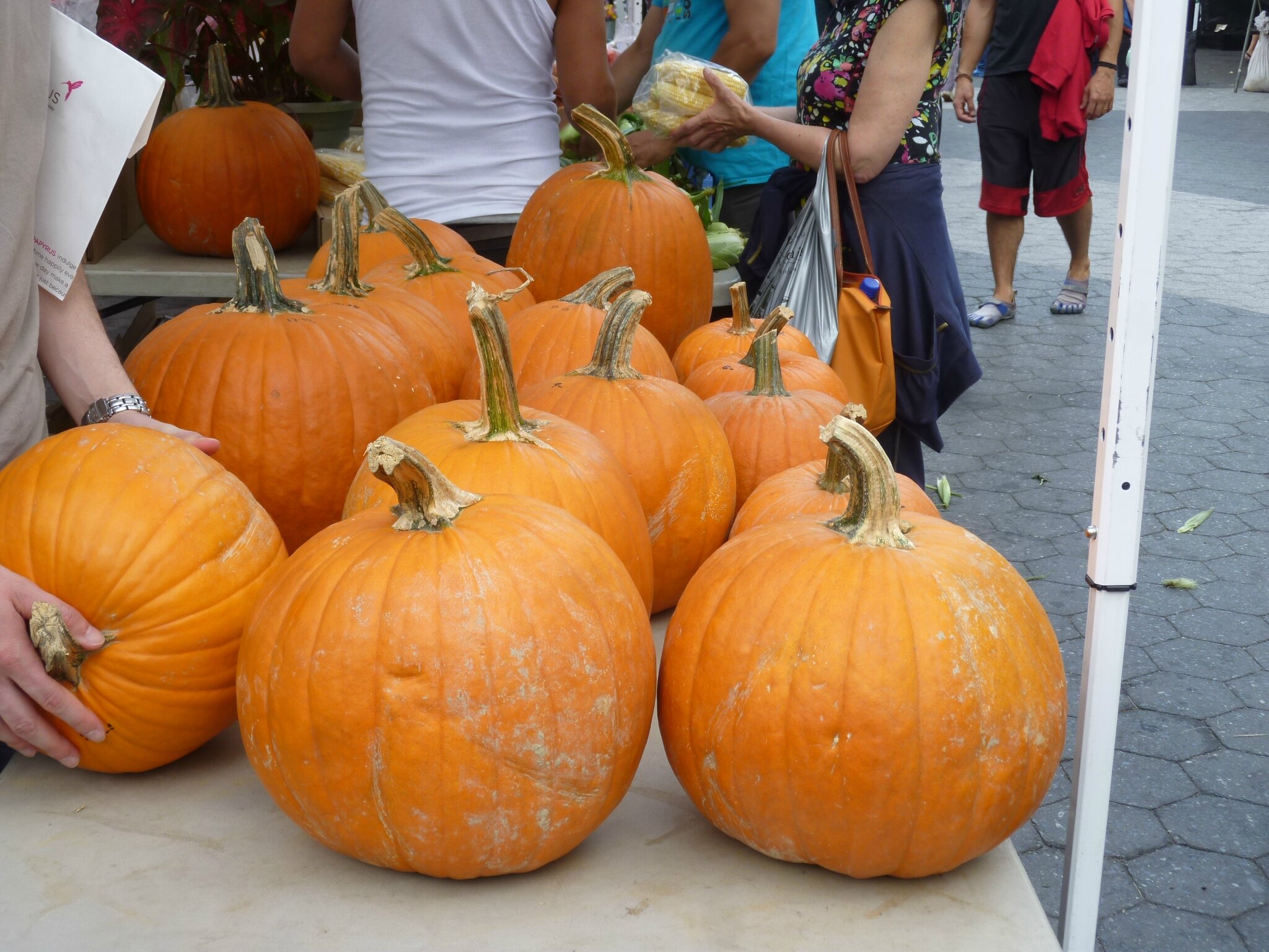 Union Square market NYC