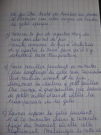 gelee_citron_lavande_recette__02