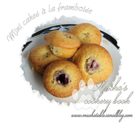 mini_cakes_framboise