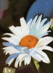 marguertie