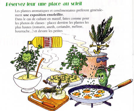 herbes2