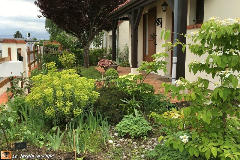 Un coin du jardin - 2016