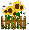 sunflowerfence
