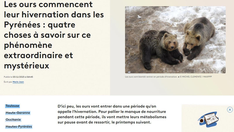 hivernation enclenchée