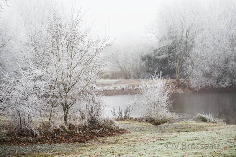 paysage-givre17-04