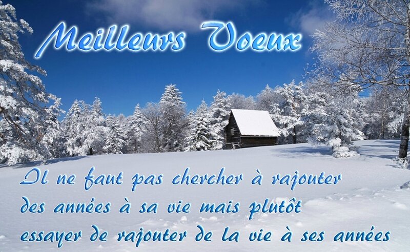 texte-meilleurs-voeux