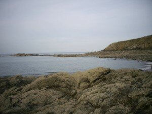 Bretagne_Avril_2008_010