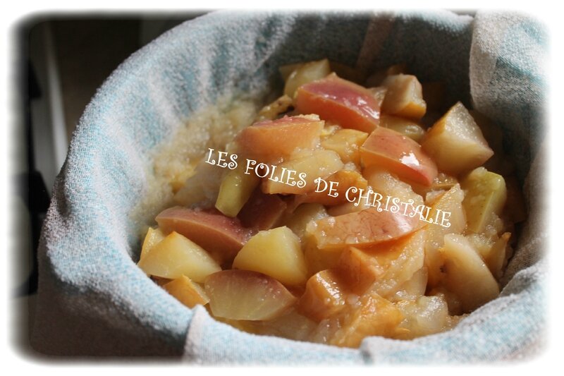 Gelée de pommes 4