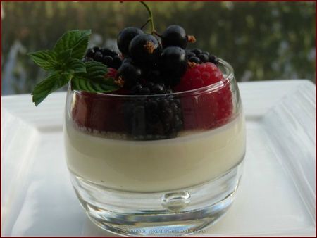 Panna cotta à la vanille et aux fruits rouges (2)