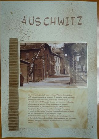 auschwitz