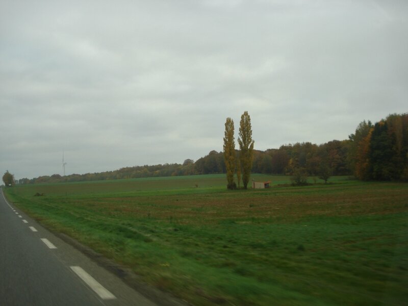 DSC08758