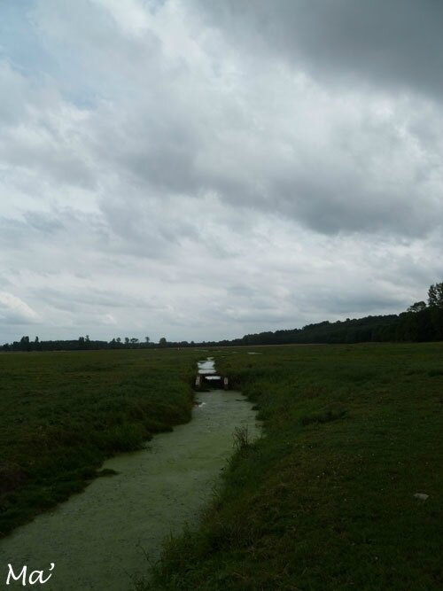 140809_marais_sougeal1
