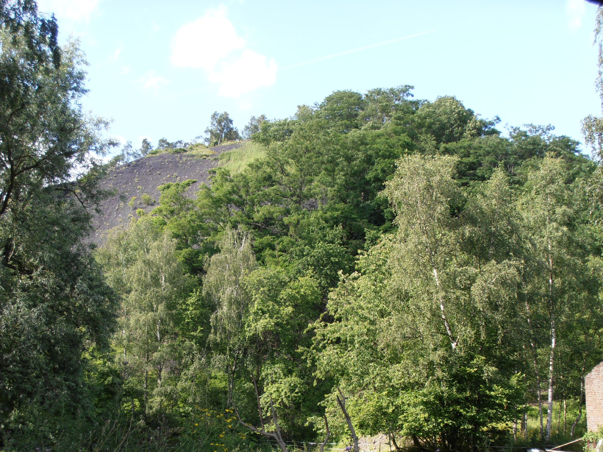 Marcasse - Terril 20120702_38