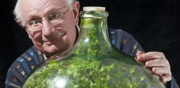 Enfermee-hermetiquement-pendant-53-ans-une-plante-a-cree-son-propre-ecosysteme-imagealaune-620x305