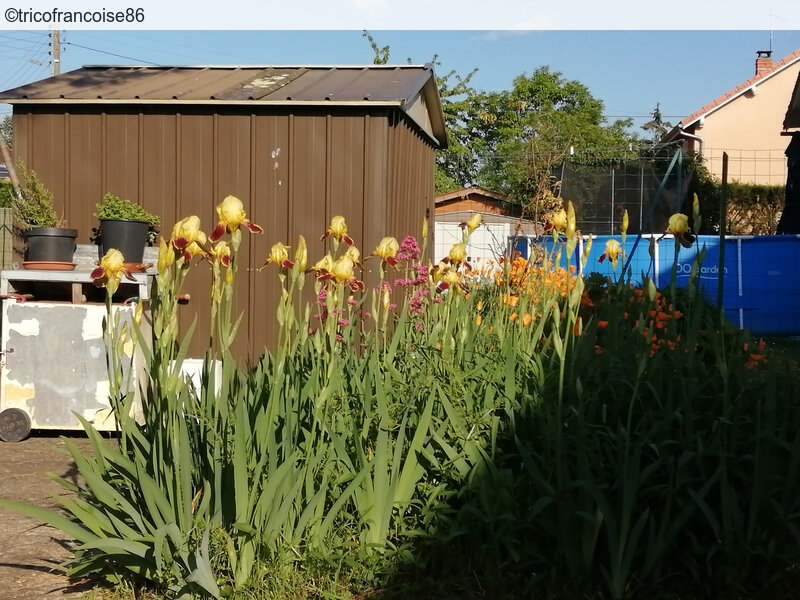 bloggif_5ea5d7ac9fae8