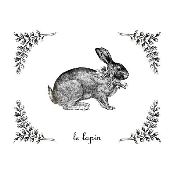 lapin