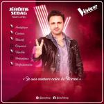 Jérôme Sebag - Team Amel - Auditions - émission 5