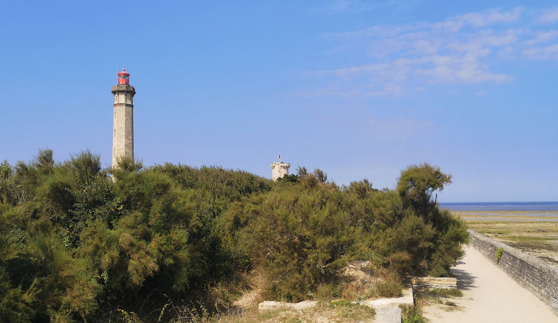 Ile de Ré 31