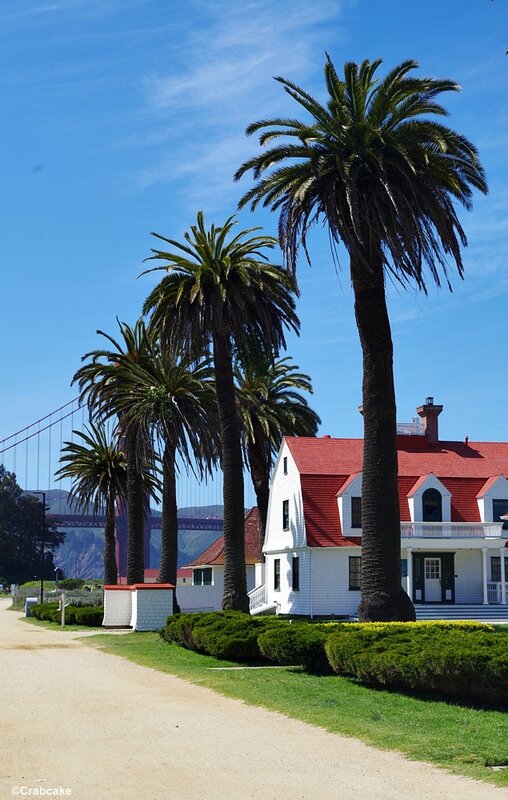 Crissy Field San Francisco