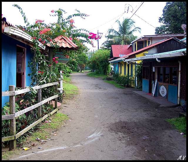 Tortuguero 48