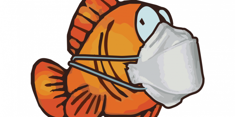 poisson_avril_2020_Covid19_coronavirus