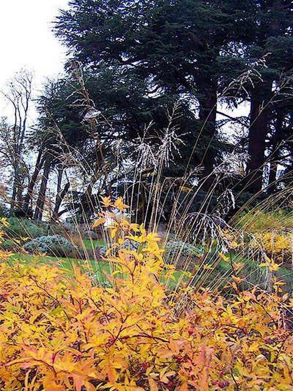 Scène d'automne au Parc Floral