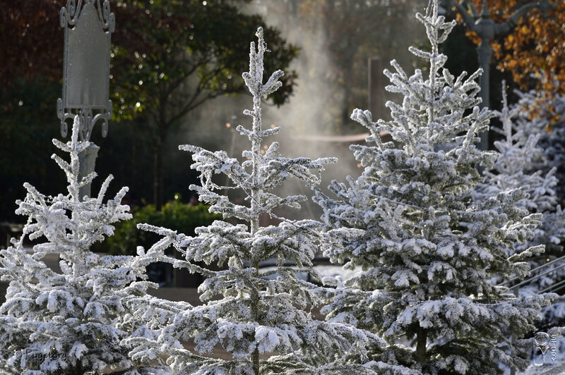 Puy Noël 2017_00789