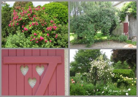 rosiers volet