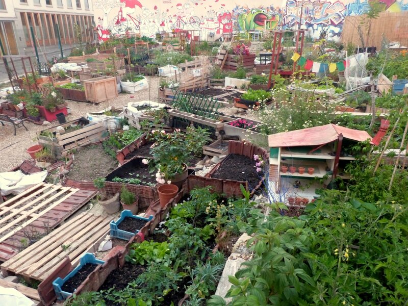 Le Jardin de la Cité 5