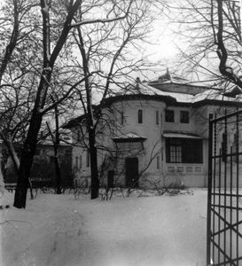 casa miclescu winter