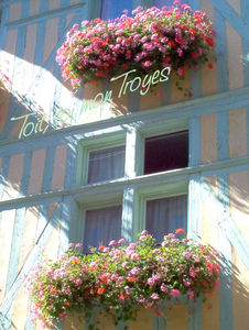 Troyes_cot__rue