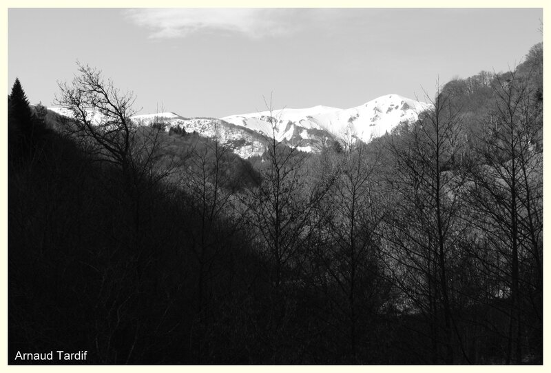 00194 Puy Ferrand - Vallée de Chaudefour BLOG