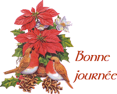 bonne journée poinsetia et oiseaux rouge _3