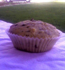 muffin_version_2