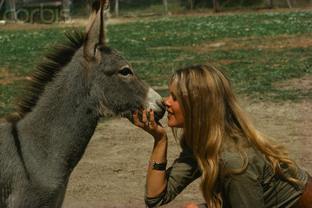 1977-parc_thoiry-par_brozek-010-1